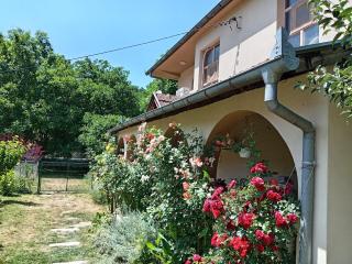 Oko Jastrepca - - 9