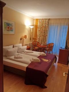 Hotel Kürschner - Kötschach-Mauthen - 8