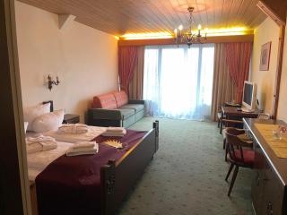 Hotel Kürschner - Kötschach-Mauthen - 6