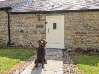 Shepherds Burn Cottage - Greenhaugh - 8
