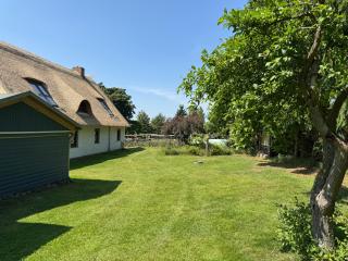 Haus am Haff - Haupthaus - Dargen - 5