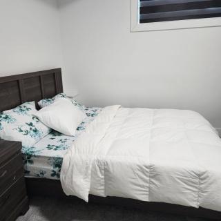 Studio Suite in Northeast, Edmonton - Edmonton - 9