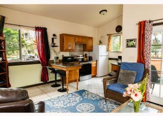 Whale House at Kehena Beach - Pahoa - 1