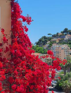 Kamira's Home - Sanremo - 3