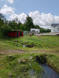 Cozy cottage with lake view - Grimeton - 7