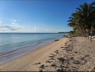 Casa Azul is a tropical oasis - Mahahual - 5
