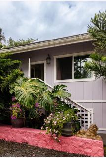 The Dolphin Cottage at Kehena Beach - Kehena - 6