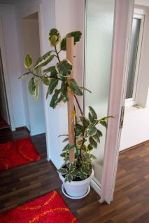 Relax Rooms Visoko - 7