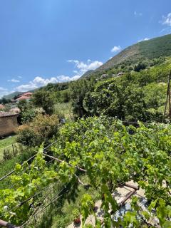 Villa Vista Lago - Mëmëlisht - 5