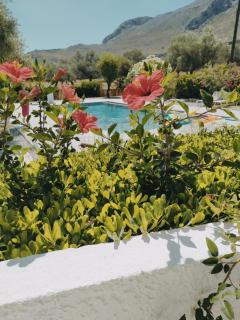 Hotel Narkissos - Archangelos - 9