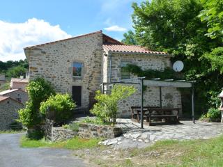 Maison pittoresque avec terrasse et BBQ, calme près de Langeac - FR-1-582-124 - Langeac - 0