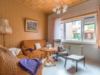Apartment in Ilsenburg near the ski area, cleaning included - Ilsenburg - 0