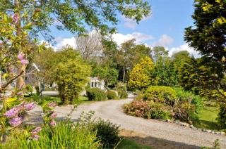 Errisbeg House B&B - Roundstone - 7