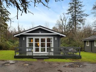 Leven Lodge 2 - Uk46044 - Balloch - 2