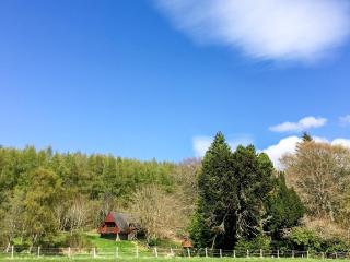 Pine Lodge - Uk7049 - Glenurguhart - 0
