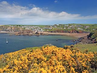 Smugglers Haunt - Uk44513 - Hope Cove - 1