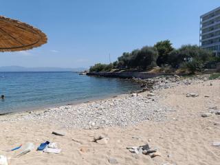 Seaside Harmony - Cavala - 0