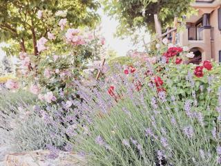 Villa Bellissimo FranTalia - Kelowna - 5