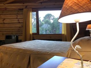 Apart al Lago - Villa Pehuenia - 3