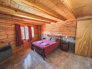 Apart al Lago - Villa Pehuenia - 1