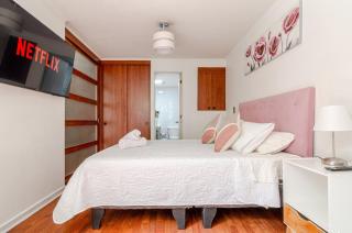 Bellas Artes Departamento remodelado - Santiago - 6