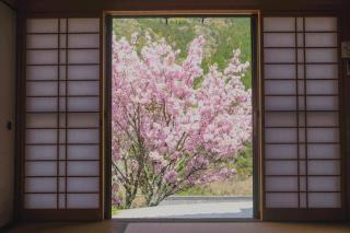 Satoyama no Yado Kei-House - Vacation STAY 55796v - Shikokuchuo - 6