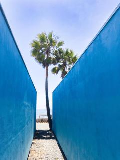 Ocean's Heaven - Ensenada - 7