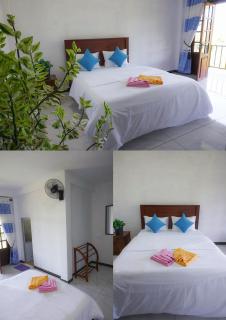 Ella Tea House Garden - Badulla - 8