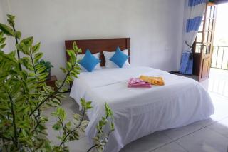 Ella Tea House Garden - 5