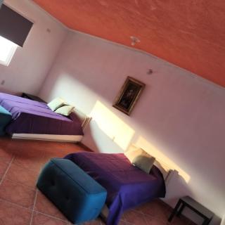 Casa Colibrí Ahuatepec Cuernavaca - Cuernavaca - 6