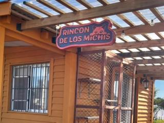 Rincon de los Michis - Barra del Chuy - 9