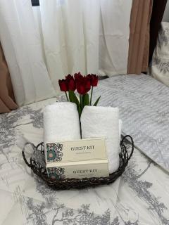 Leaf Residences Muntinlupa - The Mint Pearl Stay 2 bedroom - Manila - 8