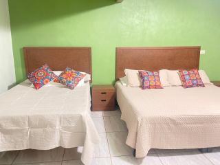 Apartamentos Guillexcursiones - - 5
