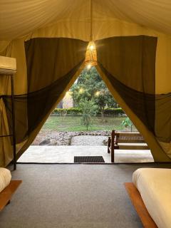 Glampin By Tharu Garden - Sauraha - 3