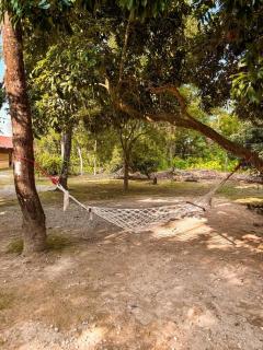 Glampin By Tharu Garden - Sauraha - 8