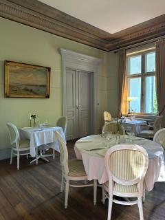Liselund Ny Slot Hotel - Borre - 1