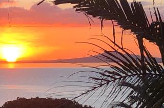 Coastal Palms Maraetai Beach Auckland NZ - Maraetai - 5