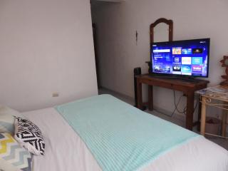 Habitación vista hermosa - Culiacán - 3