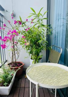 Luxury Studio In Vinhomes Green Bay, 25' to Airport, Gym, Swimming Pools - Hanoi - 2