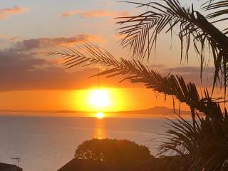 Coastal Palms Maraetai Beach Auckland NZ - Maraetai - 9