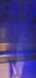 Srebrna pahulja S8 - 1