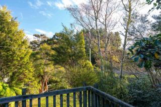 Singlee - Turangi Holiday Home - Turangi - 6