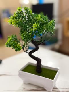 Trees Residence by Gracenz - Manila - 5