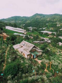 Mori Natural Farm - 7