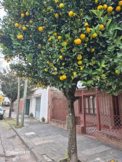 La Churita - San Salvador de Jujuy - 7
