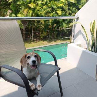 Kokotel Khao Lak Isara Casa - 3
