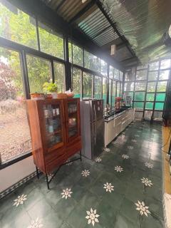 Ashoka - - 2