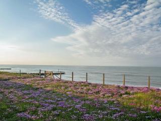 Sea Drift - Walcott - 0