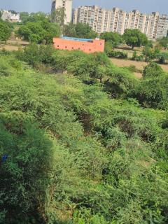 Walk to Temples - 8