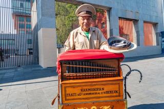 Exclusiva vista a Bellas Artes - 9